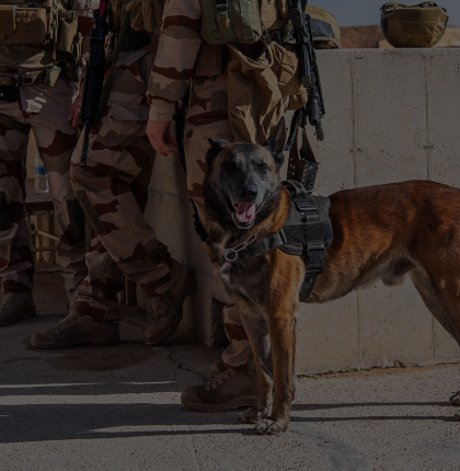 Recrutement Armée de l'air