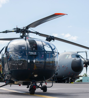 alouette
