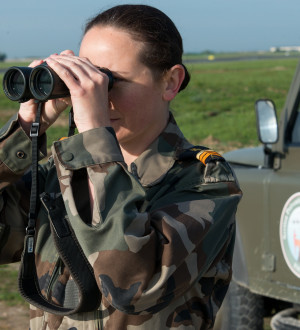 agent prévention péril animalier