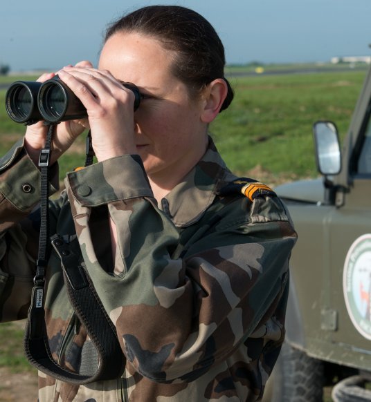 agent prévention péril animalier